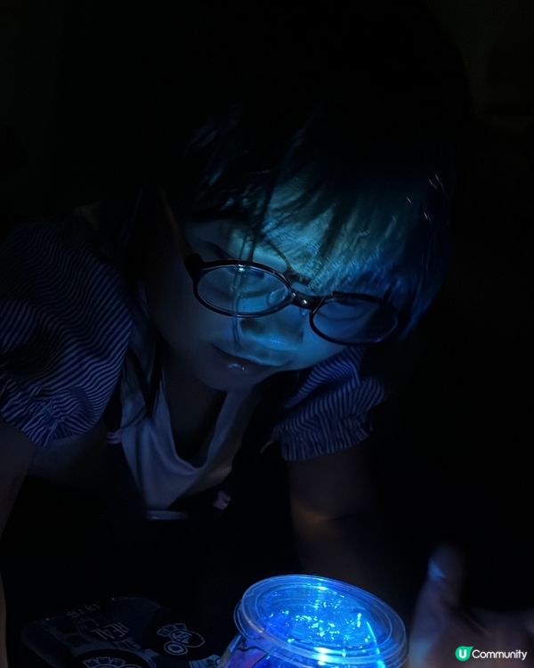 海洋公園夏日歷險，童趣探索！ 🐠☀️早鳥優惠88折！