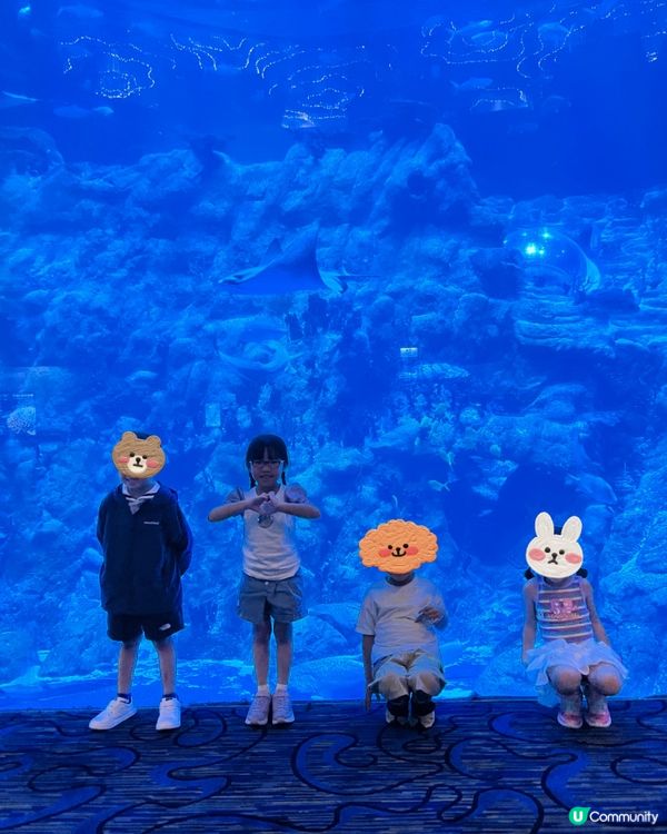 海洋公園夏日歷險，童趣探索！ 🐠☀️早鳥優惠88折！