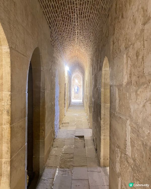 ［埃及旅遊］埃及亞歷山大