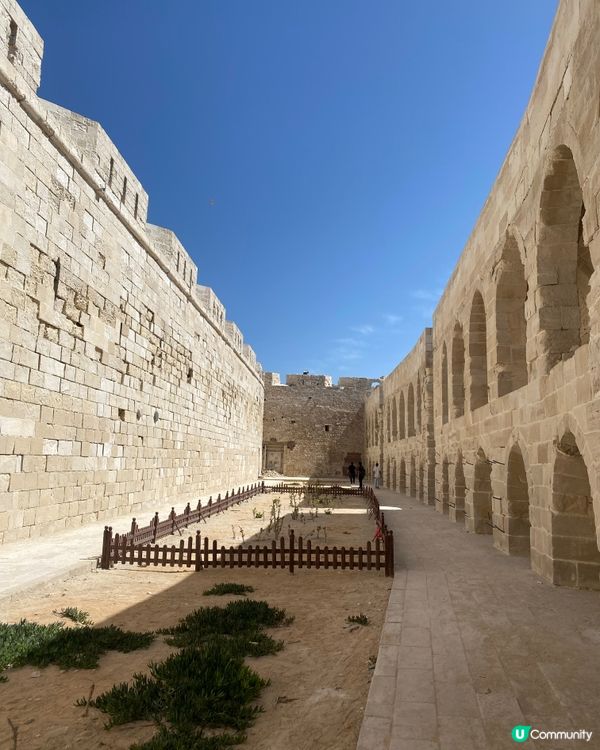 ［埃及旅遊］埃及亞歷山大