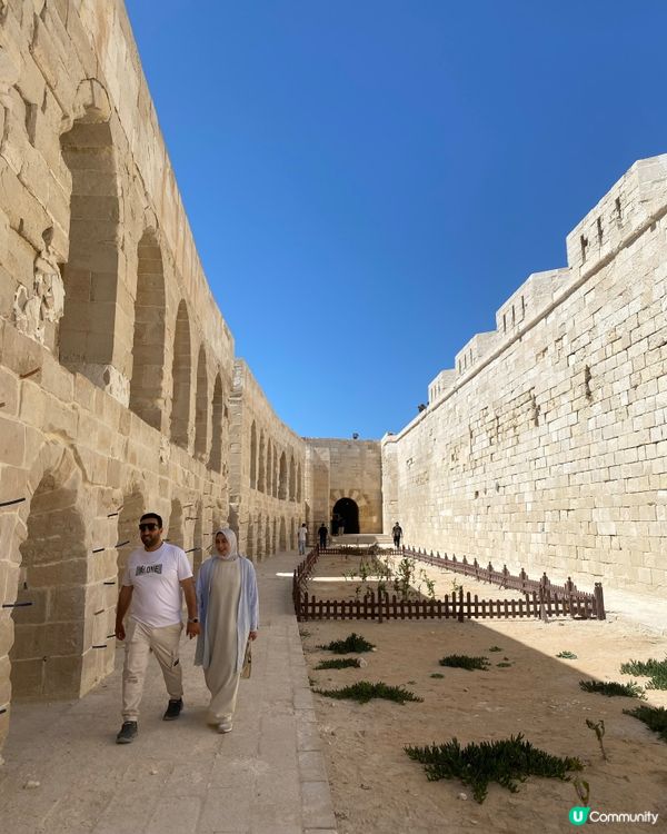 ［埃及旅遊］埃及亞歷山大