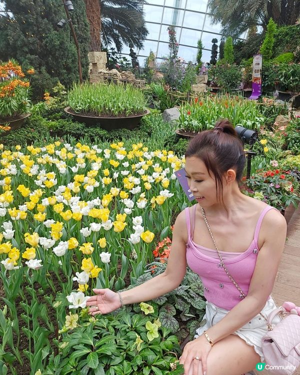 Gardens by the bay 室內就有🌴 雲霧林💐，...