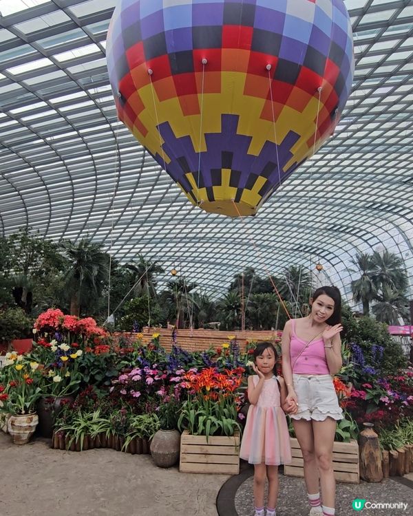 Gardens by the bay 室內就有🌴 雲霧林💐，...
