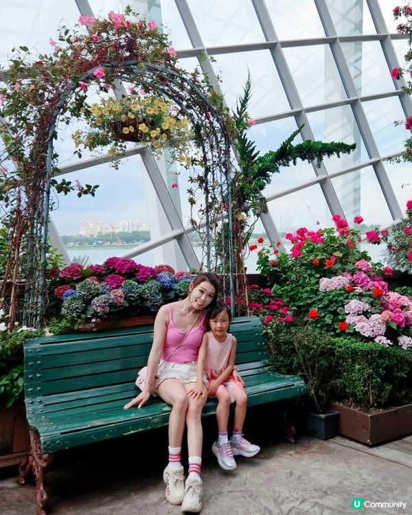 Gardens by the bay 室內就有🌴 雲霧林💐，...