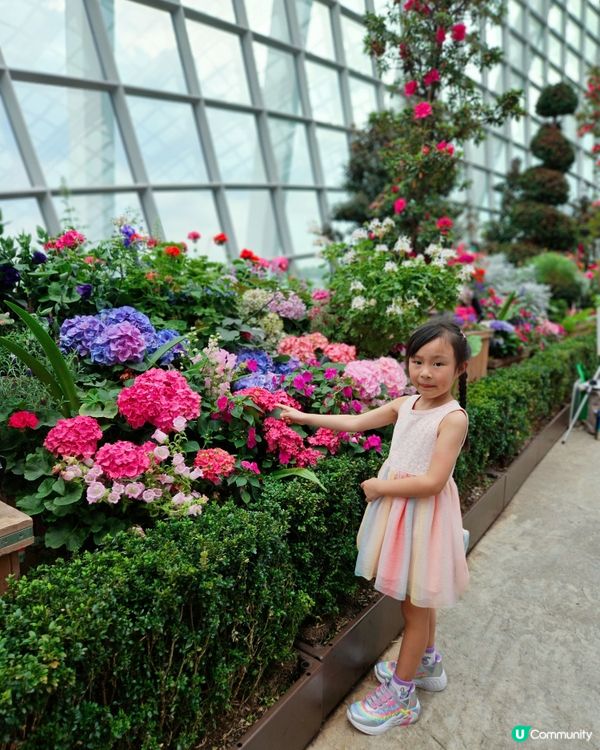 Gardens by the bay 室內就有🌴 雲霧林💐，...