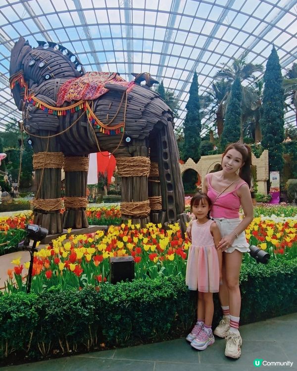 Gardens by the bay 室內就有🌴 雲霧林💐，...