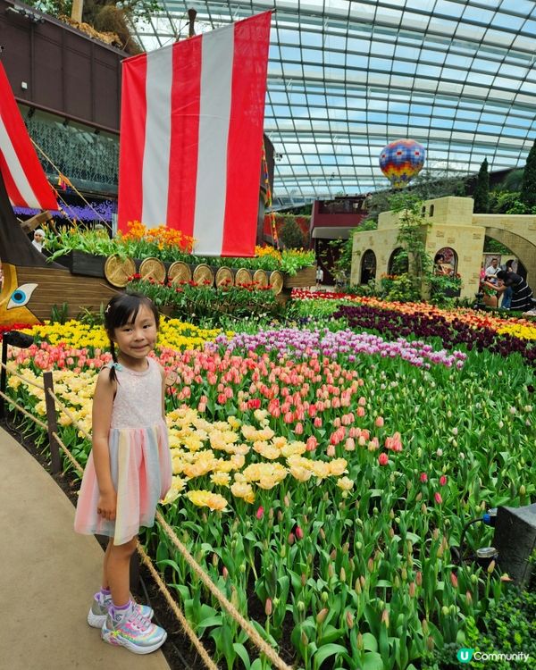 Gardens by the bay 室內就有🌴 雲霧林💐，...