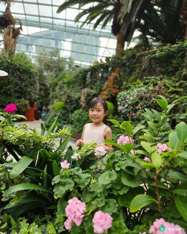 Gardens by the bay 室內就有🌴 雲霧林💐，...