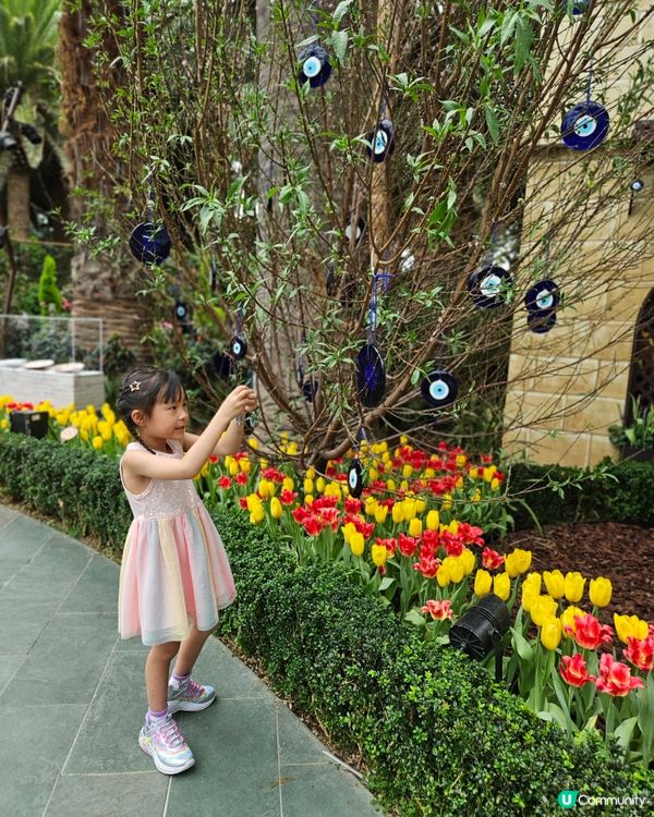 Gardens by the bay 室內就有🌴 雲霧林💐，...