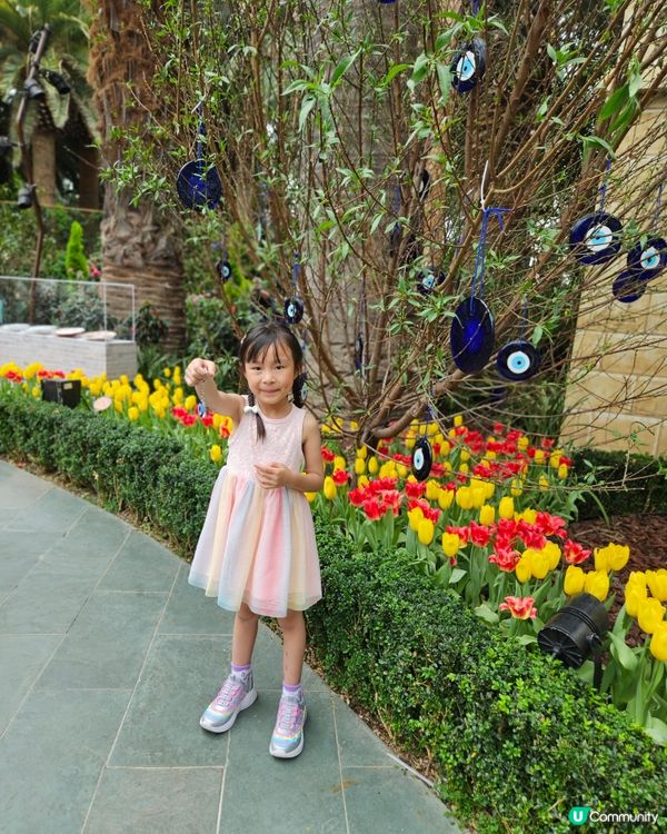 Gardens by the bay 室內就有🌴 雲霧林💐，...