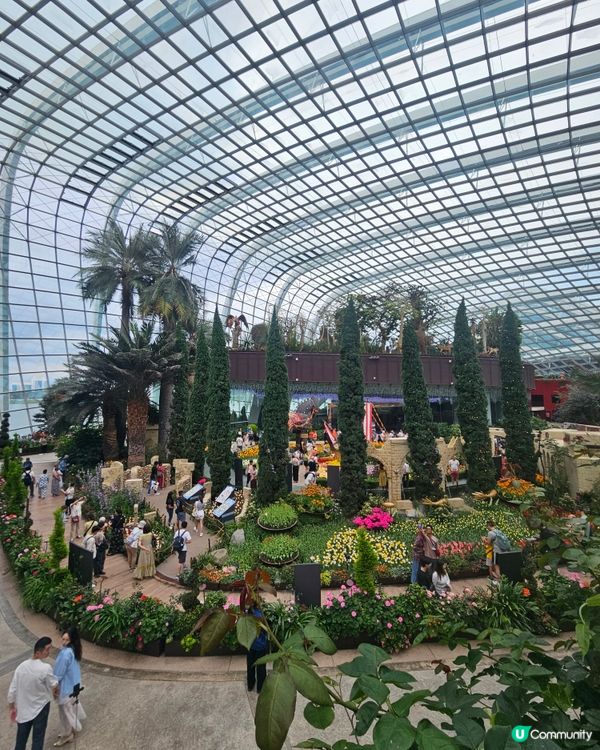 Gardens by the bay 室內就有🌴 雲霧林💐，...