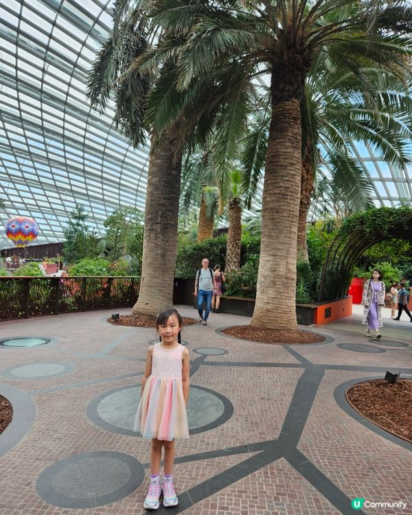 Gardens by the bay 室內就有🌴 雲霧林💐，...