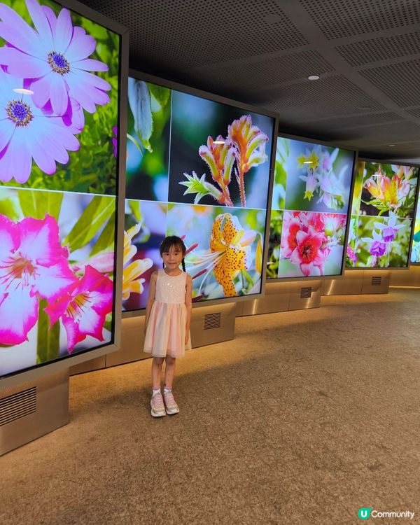 Gardens by the bay 室內就有🌴 雲霧林💐，...