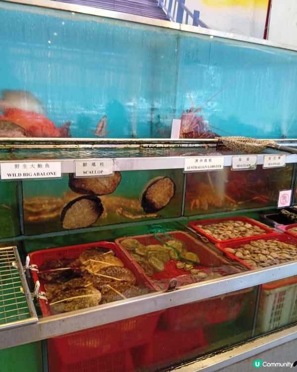 🇭🇰 生活壓力大？去榕樹灣放鬆下啦！