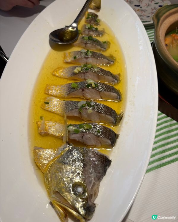 嘆盡高質精緻上海菜🤤又好味又抵食👍🏻