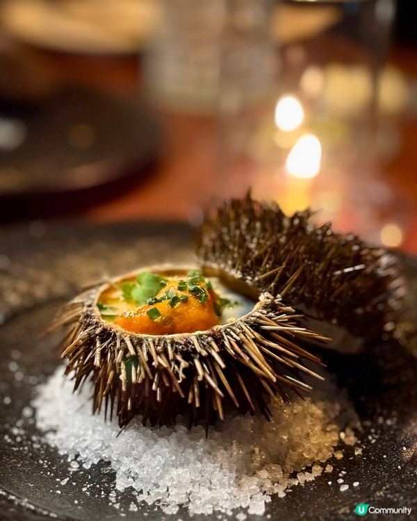 華麗圖書館餐廳❤️