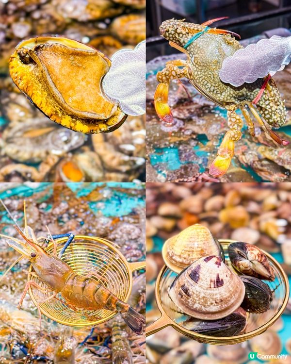 自助撈海鮮區域 無限量任撈任煮