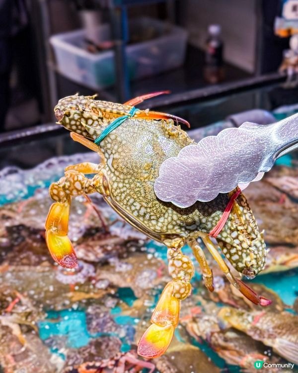 自助撈海鮮區域 無限量任撈任煮