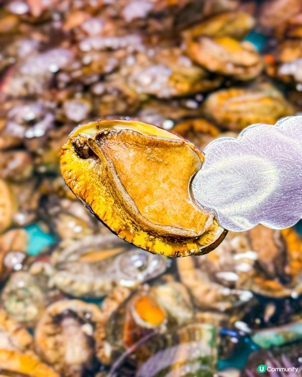 自助撈海鮮區域 無限量任撈任煮