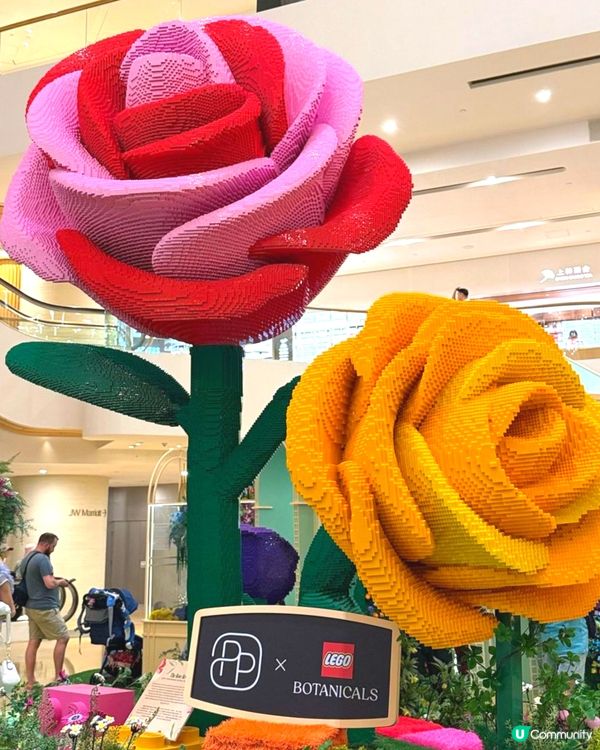 Pacific Place x LEGO 花花世界🌹💐🧱