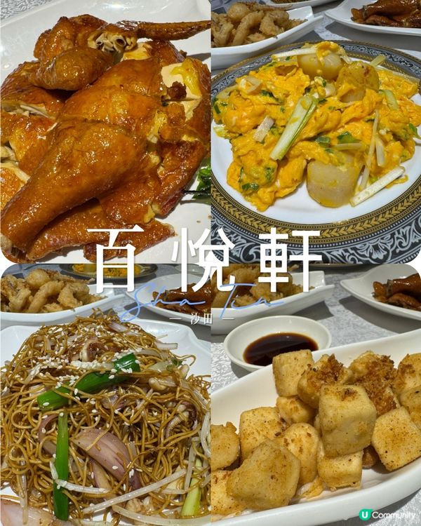 沙田中菜 抵食喔