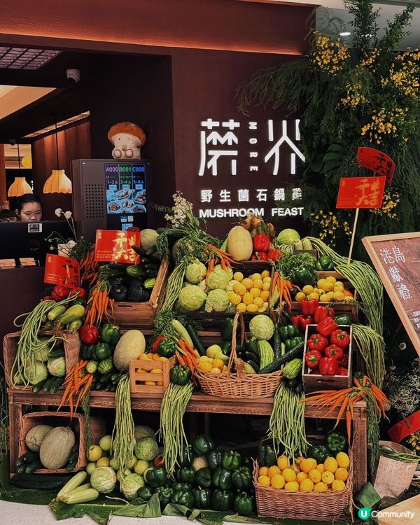 沙田新開🍄蘑界🔥鮮菌火鍋，平靚正！😋