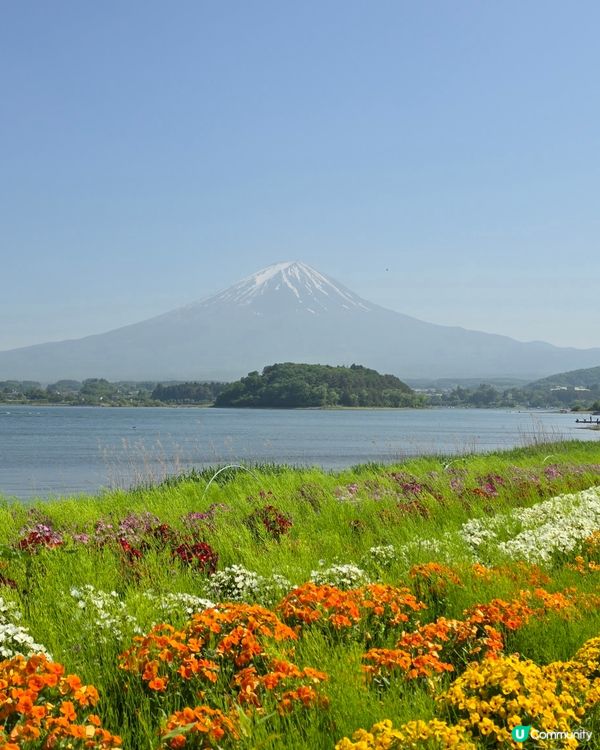 追逐富士山之旅😍河口湖遊玩攻略、交通指南、景點分享
