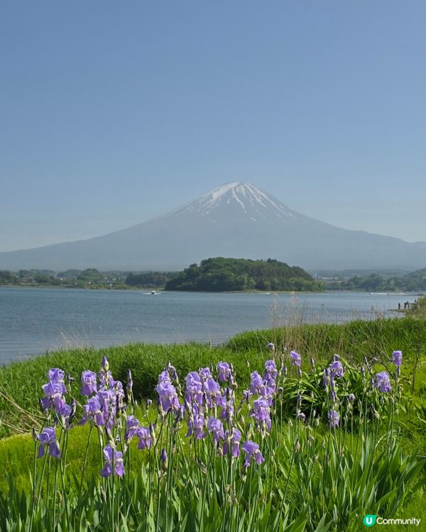 追逐富士山之旅😍河口湖遊玩攻略、交通指南、景點分享