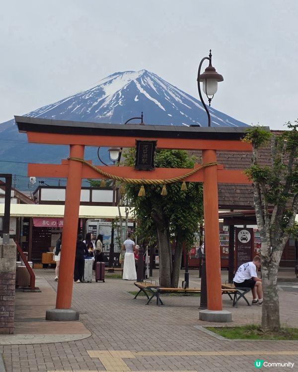 追逐富士山之旅😍河口湖遊玩攻略、交通指南、景點分享