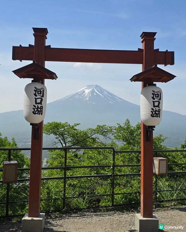 追逐富士山之旅😍河口湖遊玩攻略、交通指南、景點分享