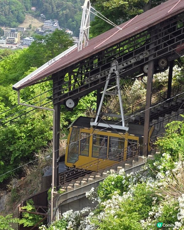 追逐富士山之旅😍河口湖遊玩攻略、交通指南、景點分享