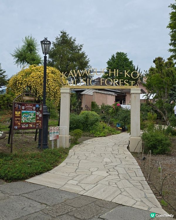 追逐富士山之旅😍河口湖遊玩攻略、交通指南、景點分享