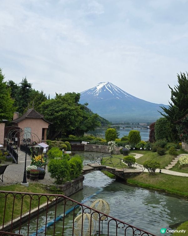 追逐富士山之旅😍河口湖遊玩攻略、交通指南、景點分享