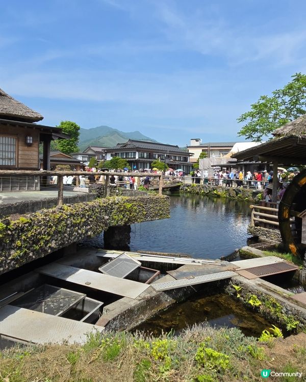 追逐富士山之旅😍河口湖遊玩攻略、交通指南、景點分享