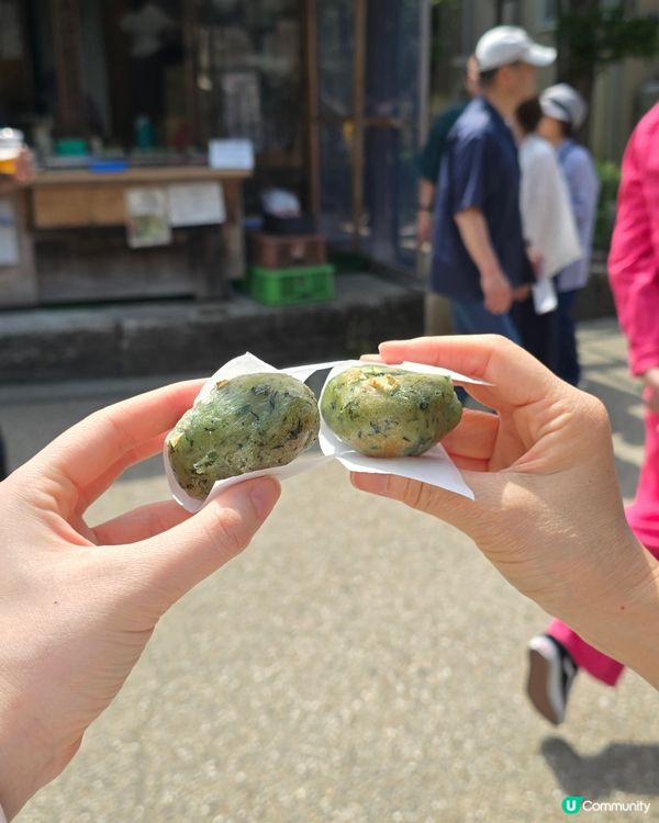 追逐富士山之旅😍河口湖遊玩攻略、交通指南、景點分享