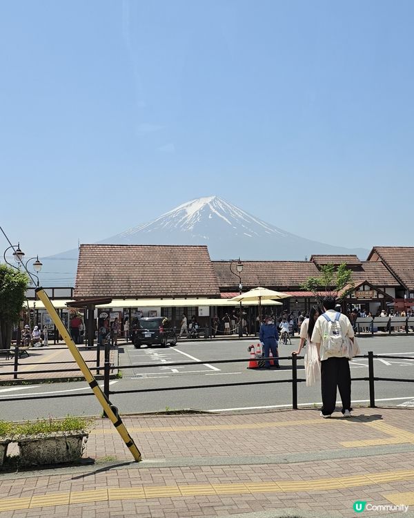 追逐富士山之旅😍河口湖遊玩攻略、交通指南、景點分享
