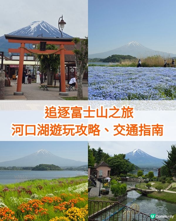 追逐富士山之旅😍河口湖遊玩攻略、交通指南、景點分享