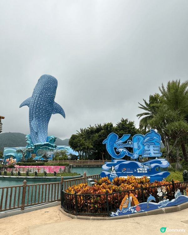 珠海長隆嘅海洋王國，又大又好多吾同嘅海洋生物，好值得一去