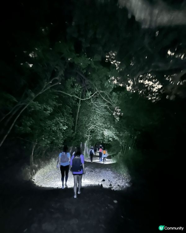 去郊外影螢火蟲(係香港竟然有!)