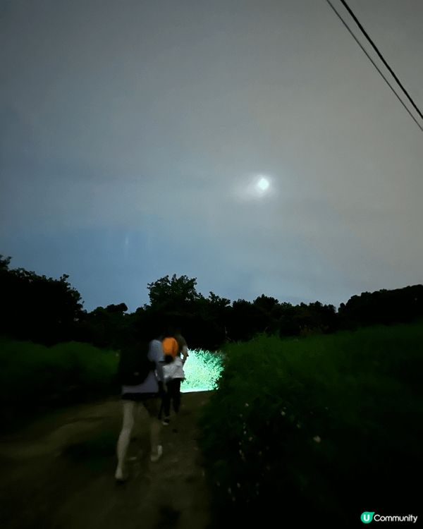 去郊外影螢火蟲(係香港竟然有!)