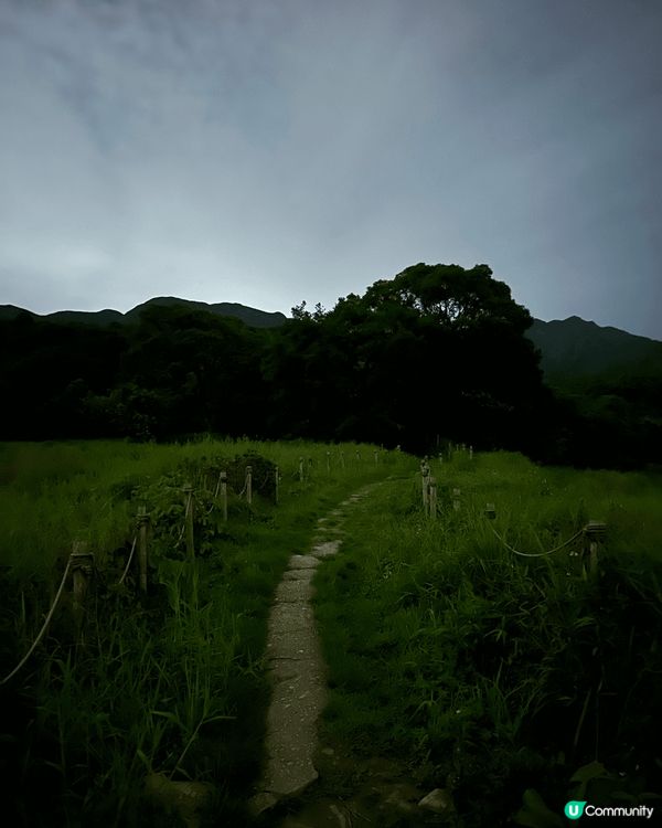 去郊外影螢火蟲(係香港竟然有!)