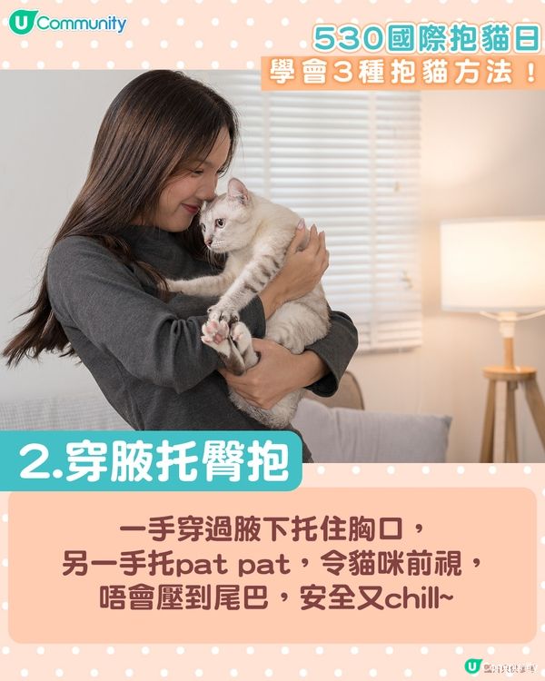 【國際抱貓日🐱】貓奴必學抱貓姿勢！