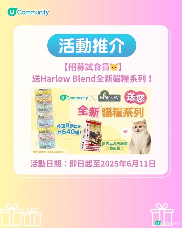 【國際抱貓日🐱】貓奴必學抱貓姿勢！