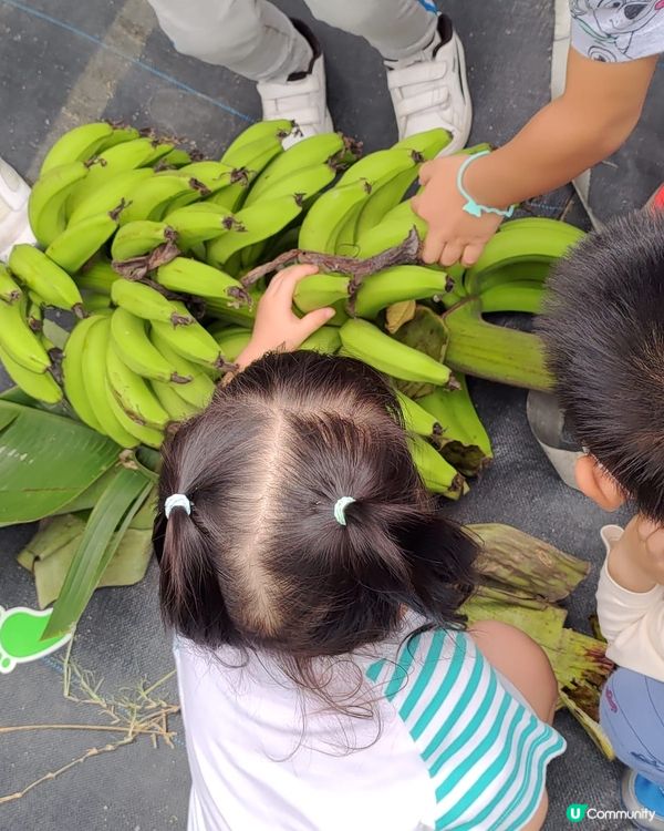 【 與孩子一同享受田園親子時光! 】