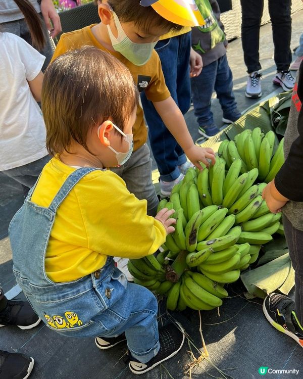 【 與孩子一同享受田園親子時光! 】