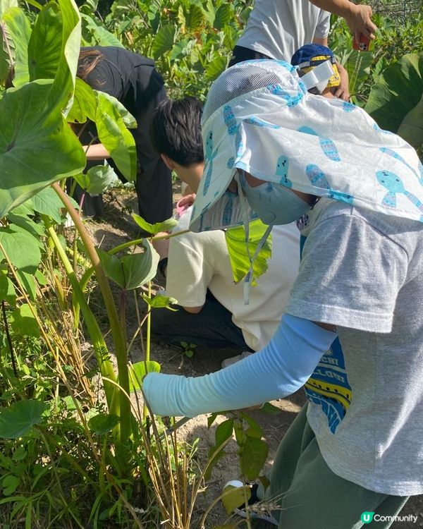 【 與孩子一同享受田園親子時光! 】