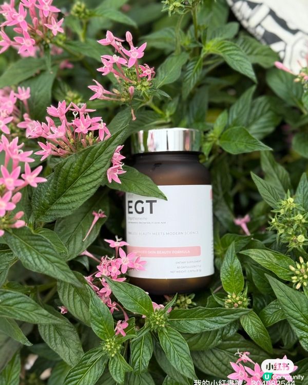 😱 食甜品變老十歲？