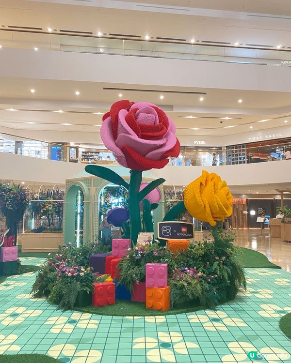  《🌸 花海打卡點》太古廣場 母親節必去！