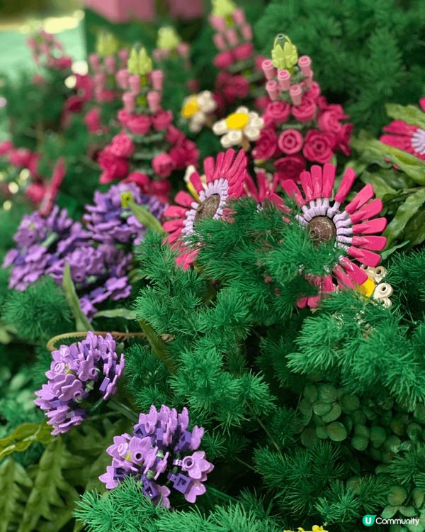  《🌸 花海打卡點》太古廣場 母親節必去！