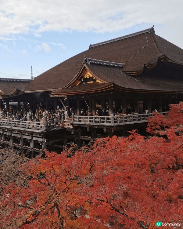 京都清水寺的壯麗景色，寺院座落於音羽山之上，與周圍茂密的紅葉...